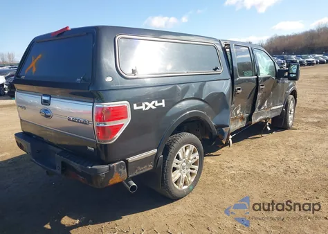 2010 Ford F-150 Fx4/Harley-Davidson/King Ranch/Lariat/Platinum/Xl/Xlt from USA, damaged, VIN 1FTFW1EV1AFD14175